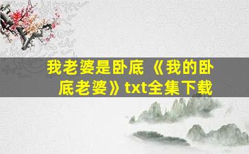 我老婆是卧底 《我的卧底老婆》txt全集下载